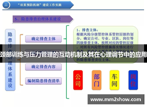 颈部训练与压力管理的互动机制及其在心理调节中的应用